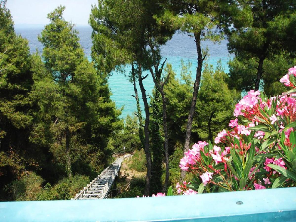 Porto Thea Alexandra Shared Pool Villa, Áfitos Extérieur photo